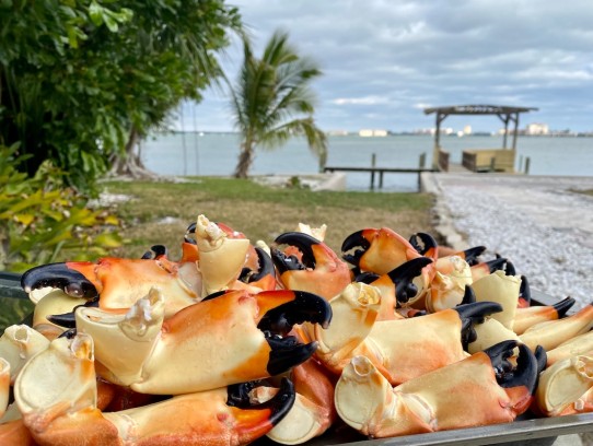  Discover the Best Sushi St Pete Beach: A Culinary Adventure Awaits